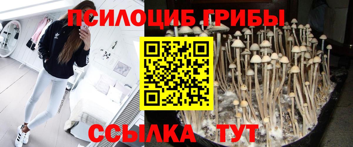 Галлюциногенные грибы GOLDEN TEACHER  Вход с VPN  Феодосия 